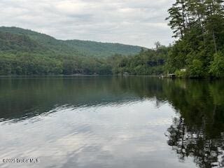 8 Read Dr, Lake Luzerne, NY 12846 - photo 45