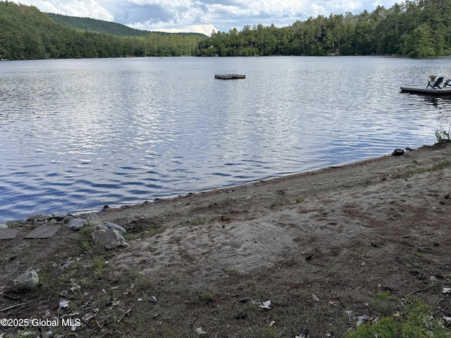 8 Read Dr, Lake Luzerne, NY 12846 - photo 2