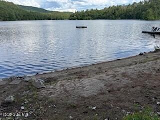 8 Read Dr, Lake Luzerne, NY 12846 - photo 60
