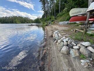 8 Read Dr, Lake Luzerne, NY 12846 - photo 62