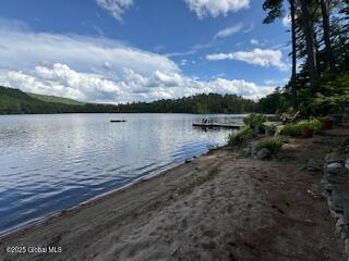 8 Read Dr, Lake Luzerne, NY 12846 - photo 59