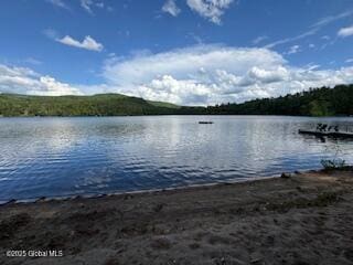 8 Read Dr, Lake Luzerne, NY 12846 - photo 58