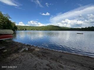 8 Read Dr, Lake Luzerne, NY 12846 - photo 61