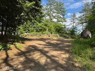 8 Read Dr, Lake Luzerne, NY 12846 - photo 54