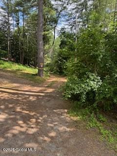 8 Read Dr, Lake Luzerne, NY 12846 - photo 52