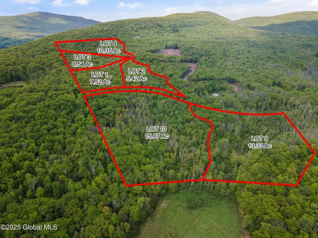 3 Galway Rd, Windham, NY 12496 - photo 1