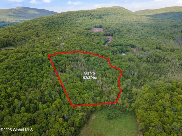 3 Galway Rd, Windham, NY 12496 - photo 3