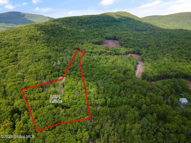 3 Galway Rd, Windham, NY 12496 - photo 4