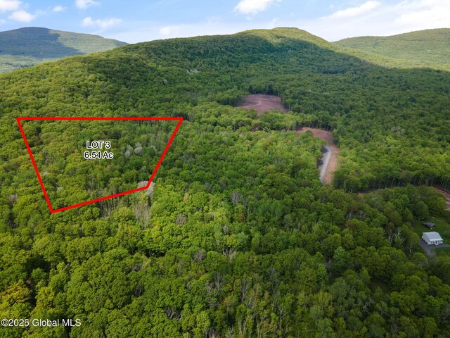 3 Galway Rd, Windham, NY 12496 - photo 6