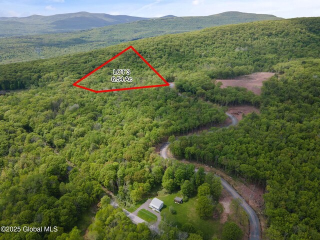 3 Galway Rd, Windham, NY 12496 - photo 10