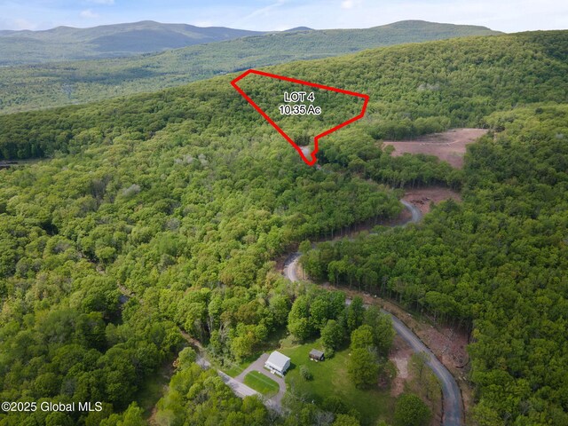 3 Galway Rd, Windham, NY 12496 - photo 11