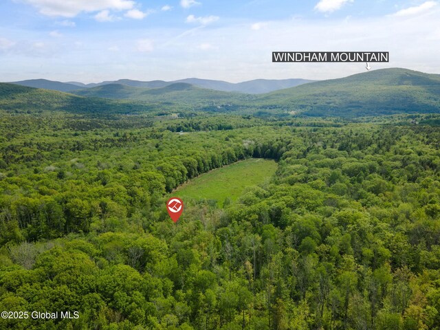 3 Galway Rd, Windham, NY 12496 - photo 13