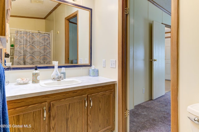 114 Burdick Rd, Johnstown, NY 12078 - bathroom with vanity and curtained shower