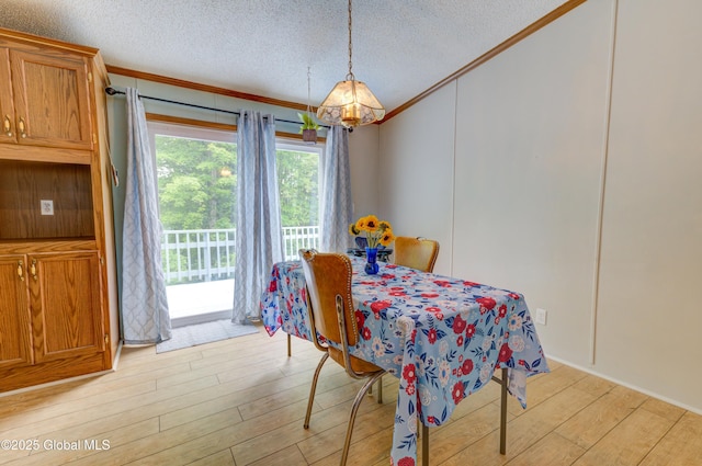 114 Burdick Rd, Johnstown, NY 12078 - dining space with crown molding, a textured ceiling, and light wood-type flooring