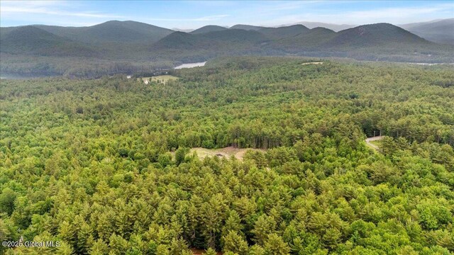 296 Parker Rd, Hadley, NY 12822 - photo 21
