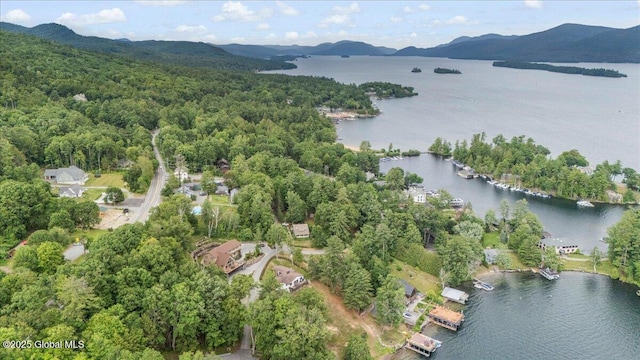 43 Trinity Rock Rd, Lake George, NY 12845 - photo 3