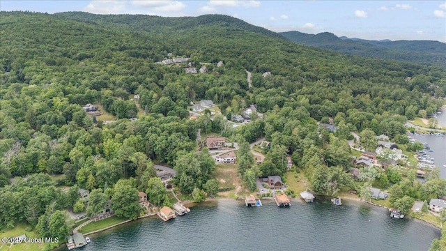 43 Trinity Rock Rd, Lake George, NY 12845 - photo 83