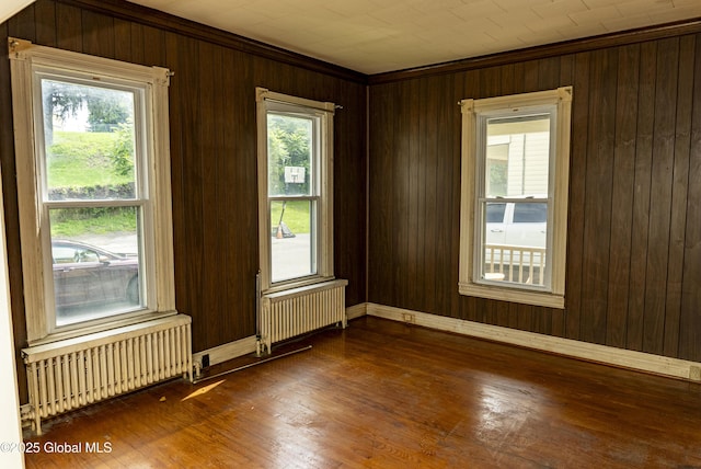 53 Broad St, Catskill, NY 12414 - spare room featuring radiator, wood walls, dark wood-style flooring, and crown molding
