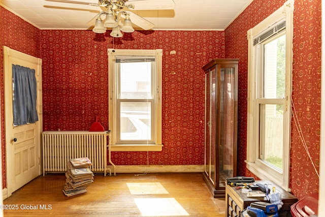 53 Broad St, Catskill, NY 12414 - unfurnished room with radiator, wood finished floors, ceiling fan, crown molding, and wallpapered walls