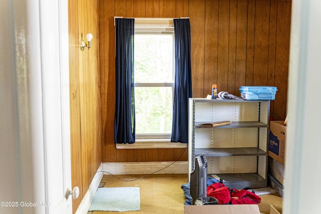 53 Broad St, Catskill, NY 12414 - bedroom with wood walls