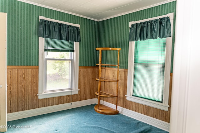 53 Broad St, Catskill, NY 12414 - empty room with ornamental molding, carpet, and wallpapered walls