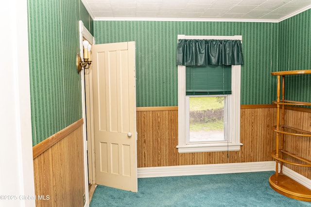 53 Broad St, Catskill, NY 12414 - carpeted empty room featuring wallpapered walls, a wainscoted wall, ornamental molding, and wooden walls