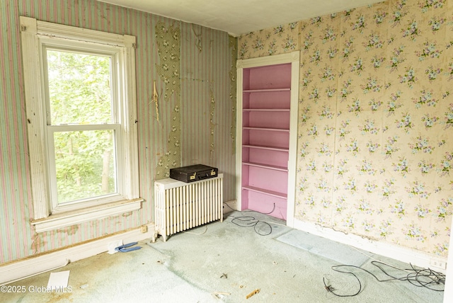 53 Broad St, Catskill, NY 12414 - carpeted empty room with radiator heating unit and wallpapered walls