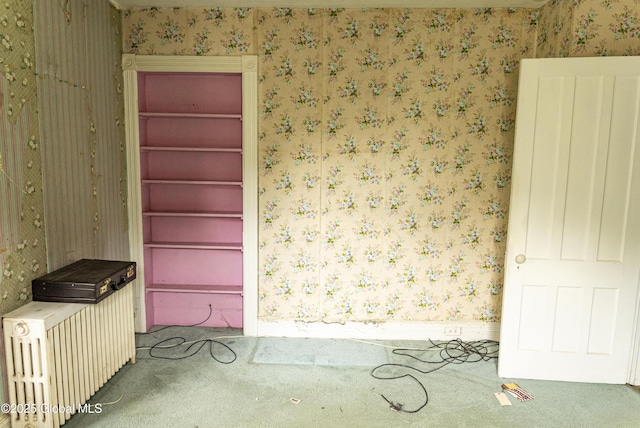 53 Broad St, Catskill, NY 12414 - carpeted spare room featuring wallpapered walls and radiator heating unit
