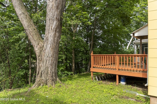 53 Broad St, Catskill, NY 12414 - view of yard featuring a deck