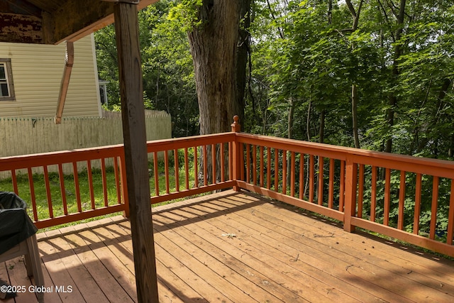 53 Broad St, Catskill, NY 12414 - view of wooden terrace