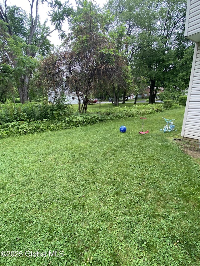 9 Brayton St, Colonie, NY 12205 - view of green lawn