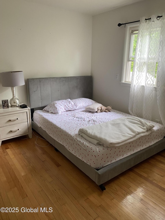 9 Brayton St, Colonie, NY 12205 - bedroom featuring wood finished floors