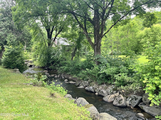 448 State Highway 334, Johnstown, NY 12095 - view of yard with a view of trees