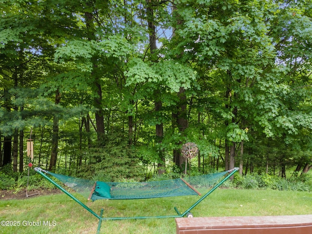 77 Rotterdam Dr, Bethlehem, NY 12077 - view of yard
