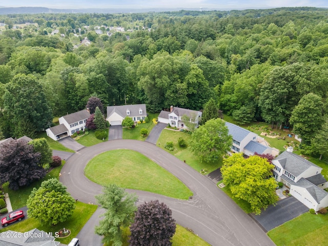 77 Rotterdam Dr, Bethlehem, NY 12077 - drone / aerial view of a forest
