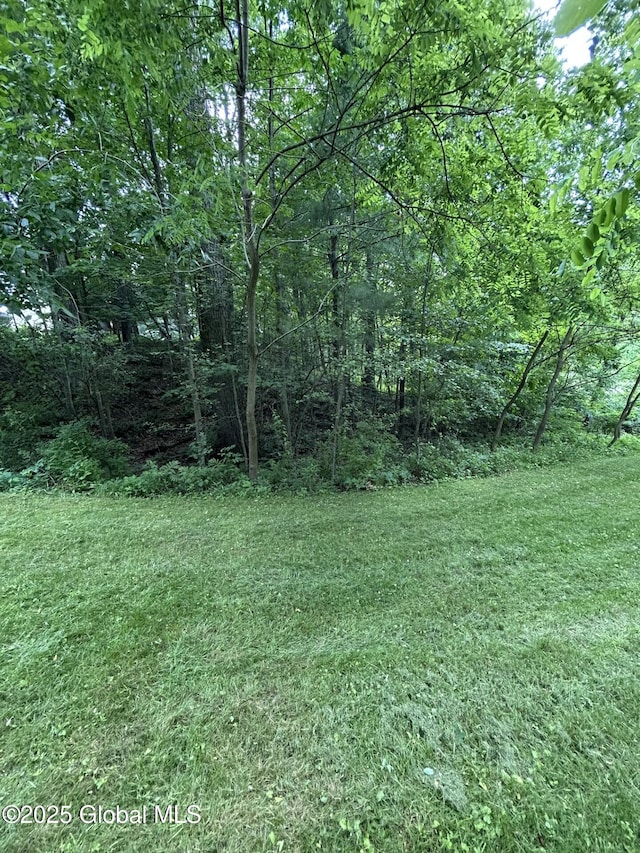 77 Rotterdam Dr, Bethlehem, NY 12077 - view of green lawn