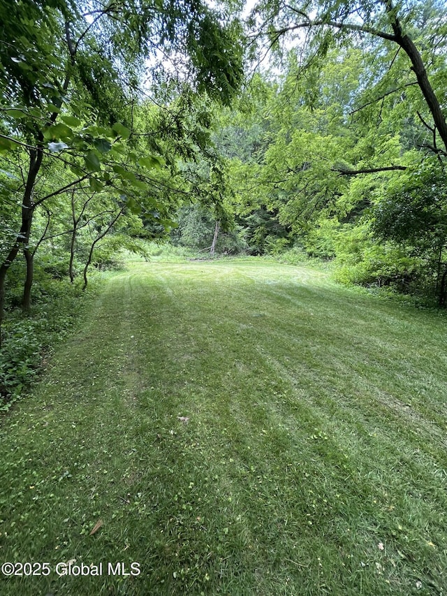 77 Rotterdam Dr, Bethlehem, NY 12077 - view of grassy yard featuring a forest view