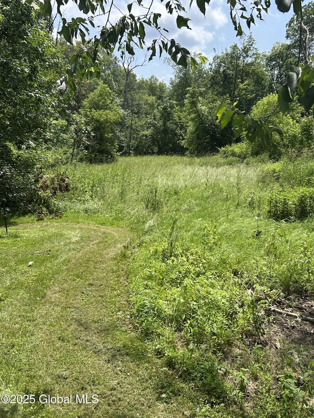 77 Rotterdam Dr, Bethlehem, NY 12077 - view of tree filled area