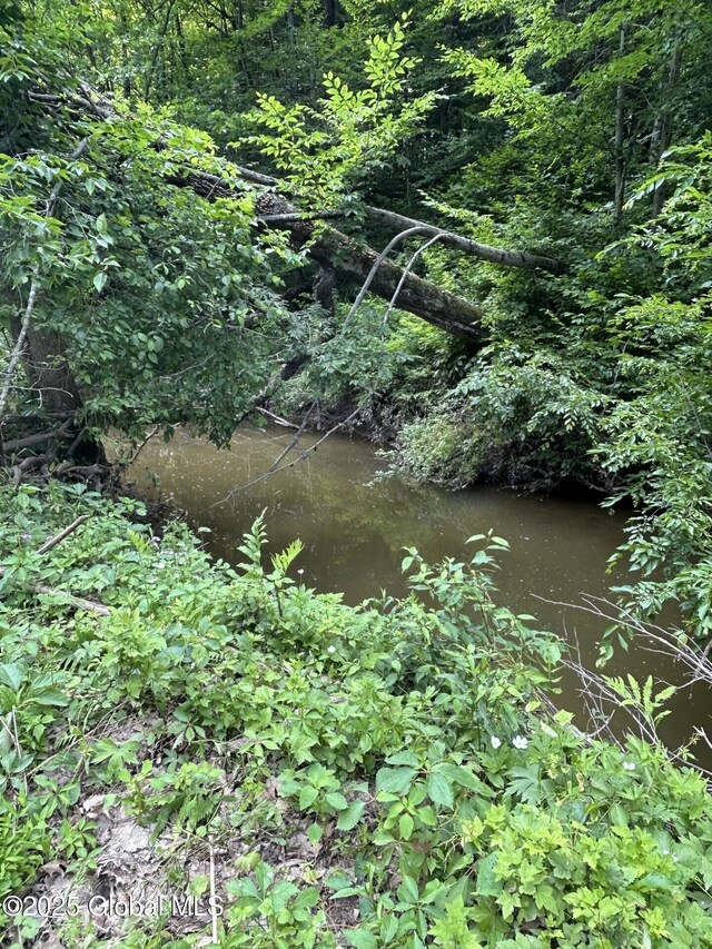 77 Rotterdam Dr, Bethlehem, NY 12077 - view of nature