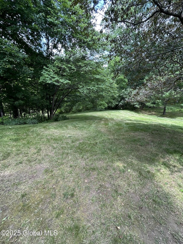 77 Rotterdam Dr, Bethlehem, NY 12077 - view of green lawn