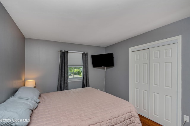47 Comely Ln, Colonie, NY 12110 - bedroom featuring a closet and wood finished floors