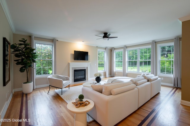 1 Arbor Dr, Guilderland, NY 12159 - living room featuring a glass covered fireplace, ornamental molding, ceiling fan, and light wood-style floors