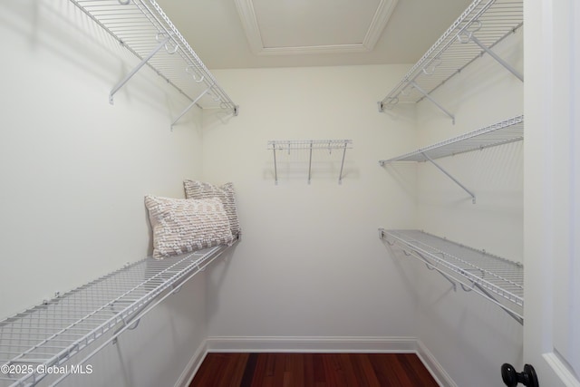 1 Arbor Dr, Guilderland, NY 12159 - walk in closet with dark wood-style flooring