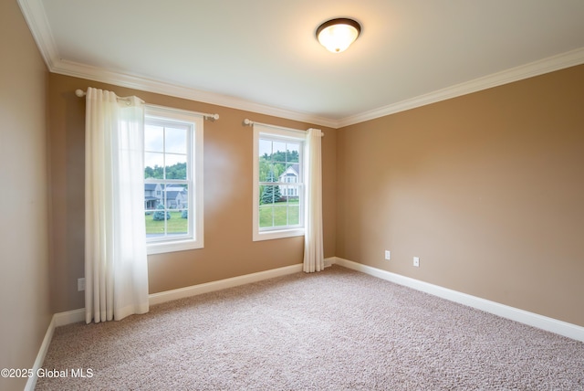 1 Arbor Dr, Guilderland, NY 12159 - unfurnished room featuring ornamental molding and carpet floors