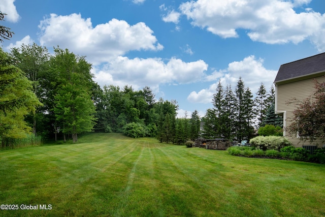 1 Arbor Dr, Guilderland, NY 12159 - view of grassy yard