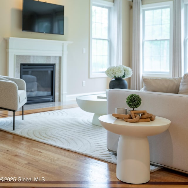 1 Arbor Dr, Guilderland, NY 12159 - living area featuring wood finished floors and a glass covered fireplace