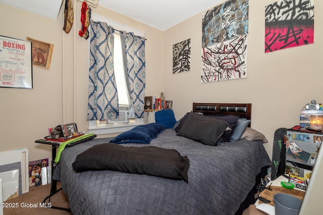 13 Barclay St, Albany, NY 12209 - view of carpeted bedroom