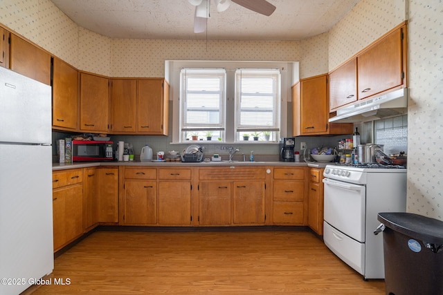 13 Barclay St, Albany, NY 12209 - kitchen with white appliances, under cabinet range hood, wallpapered walls, light wood finished floors, and a ceiling fan