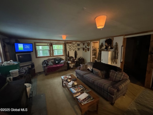 70 Cp A Way, Hartford, NY 12832 - view of carpeted living room