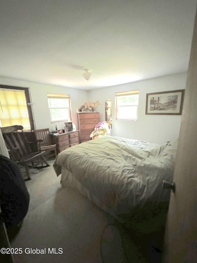 70 Cp A Way, Hartford, NY 12832 - view of carpeted bedroom